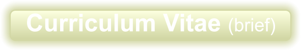 Curriculum Vitae (brief)